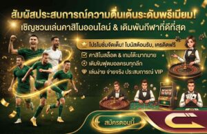 Promotion (mc888)